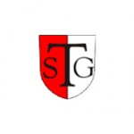 Logo TSG Warin